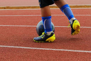 半岛体育注册-曼联技战术演练密集，冲刺冠军全力以赴